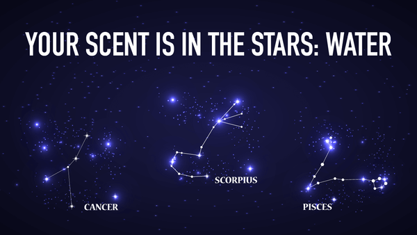 Your Scent is in the Stars: WATER